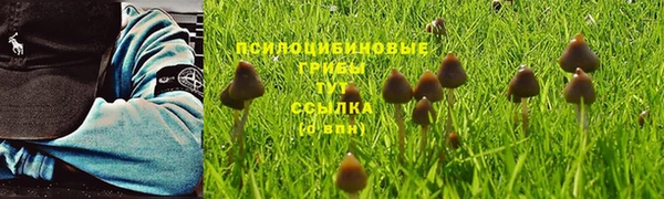 mdpv Абдулино