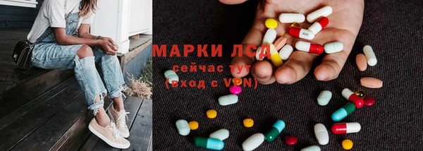 мяу мяу мука Абаза