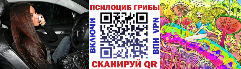 Галлюциногенные грибы ЛСД  купить   Трубчевск 